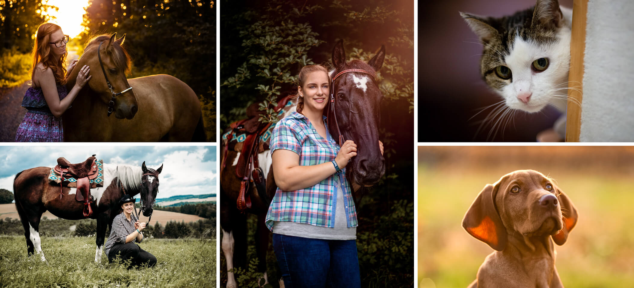 Fotoshooting-Tiere-Landkreis-Wuerzburg-Kitzingen-Maintaubertal