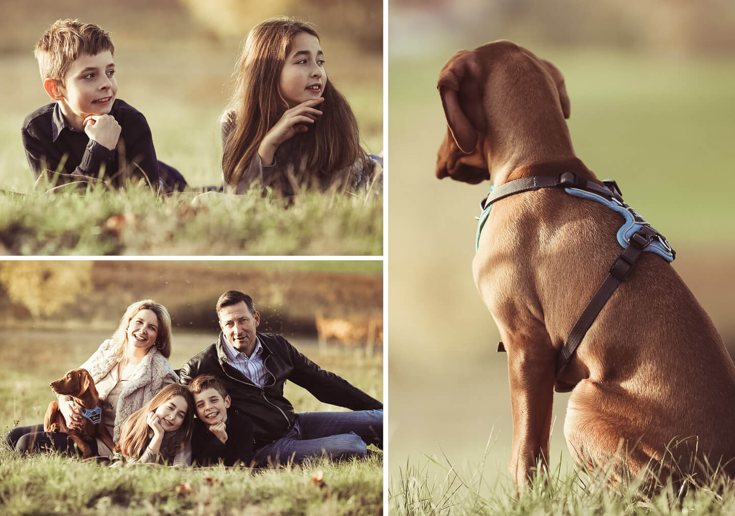 Familien-Fotoshooting-6