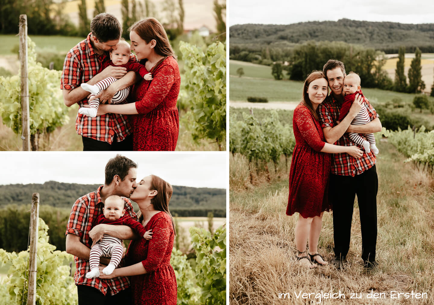 Familie-Weinberge-mitBaby-Portraits-10